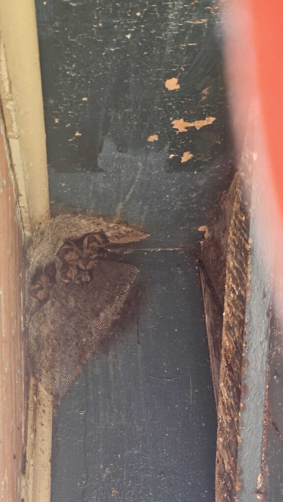 Lansing Pest Control